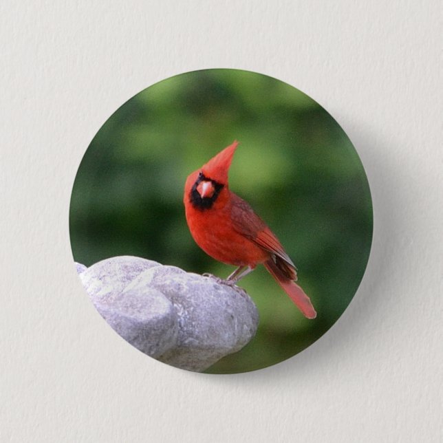 Badge Rond 5 Cm Bouton Cardinal (Devant)