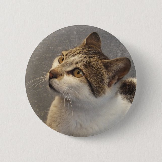 Badge Rond 5 Cm Bouton Cat (Devant)