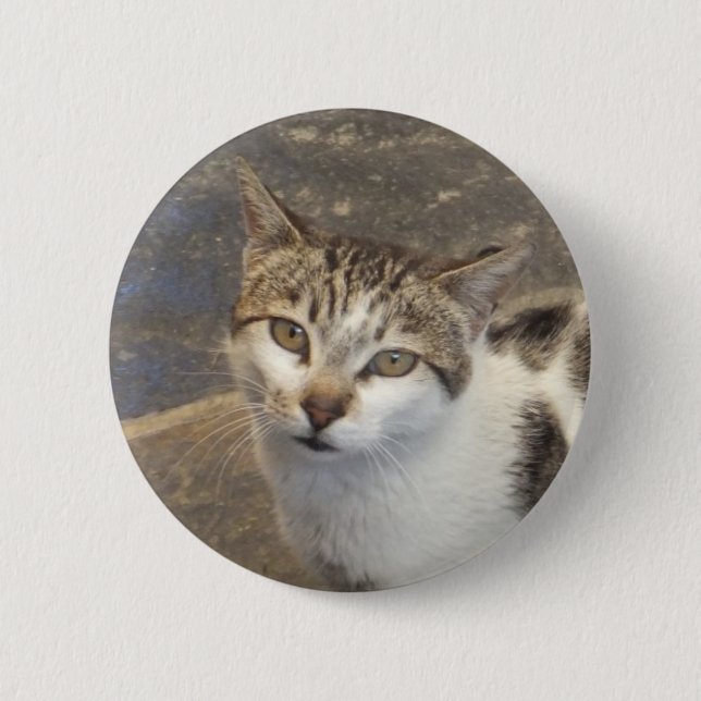Badge Rond 5 Cm Bouton Cat (Devant)