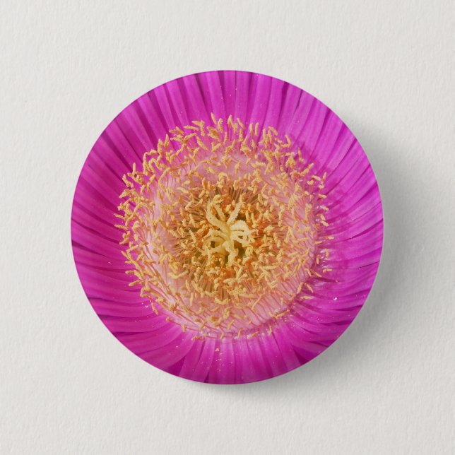 Badge Rond 5 Cm Bouton Centre Fleur Rose (Devant)