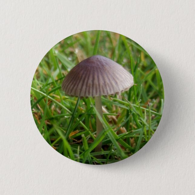 Badge Rond 5 Cm Bouton Champignons (Devant)