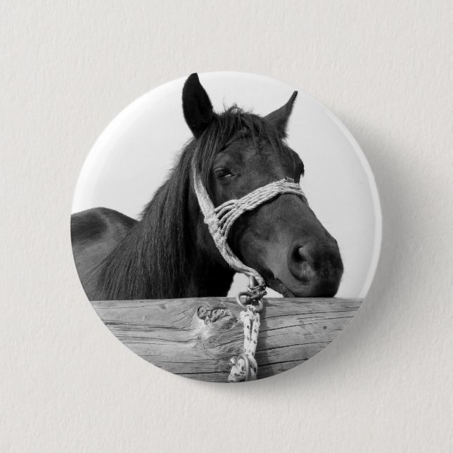 Badge Rond 5 Cm Bouton Cheval (Devant)