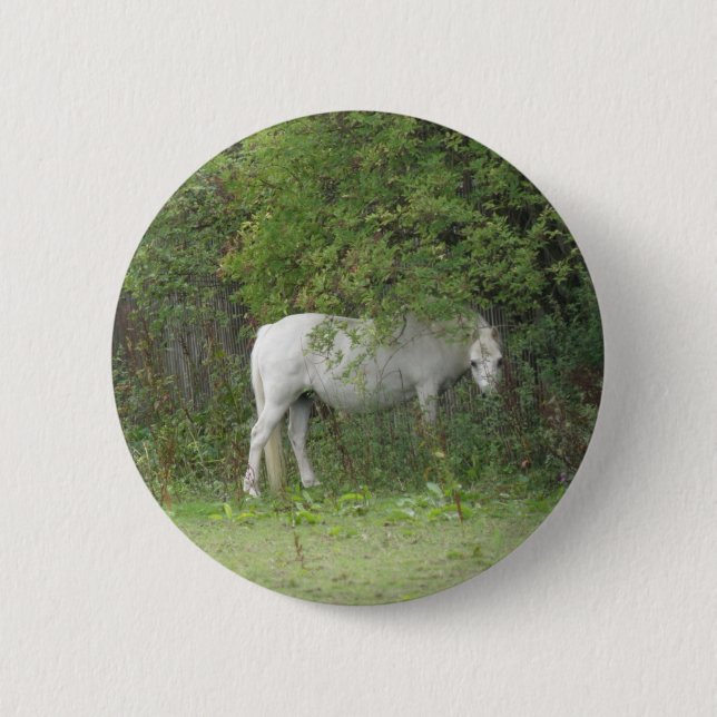 Badge Rond 5 Cm Bouton Cheval blanc timide (Devant)