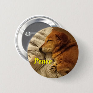 Badge Rond 5 Cm Bouton Chien souriant