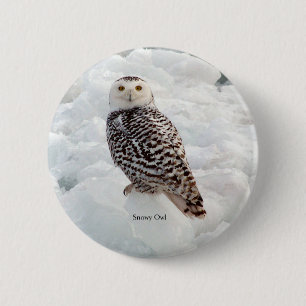 Badge Rond 5 Cm Bouton Chouette neigeuse
