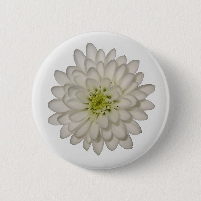 Badge Rond 5 Cm Bouton Chrysanthème blanc (Devant)