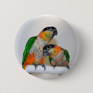 Badge Rond 5 Cm Bouton coloré de paires de perroquet de caïque