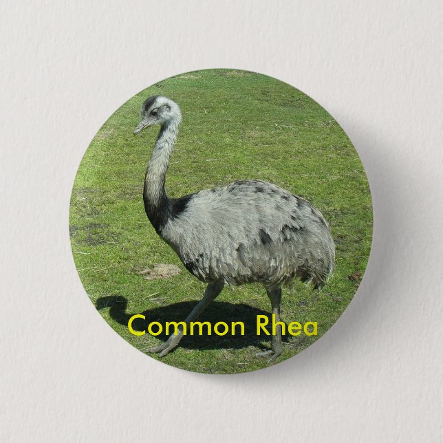 Badge Rond 5 Cm Bouton commun de nandou (Devant)