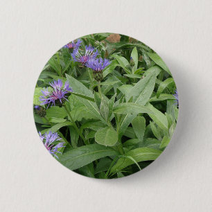 Badge Rond 5 Cm Bouton Cornflowers