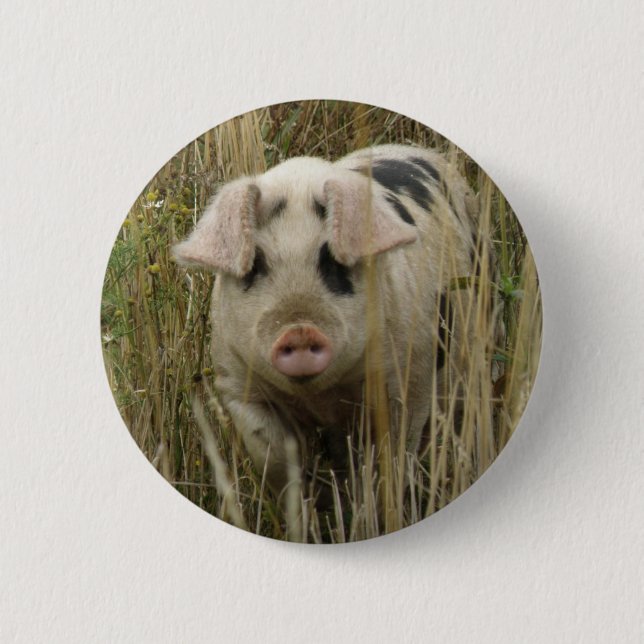 Badge Rond 5 Cm Bouton Cute Pig (Devant)