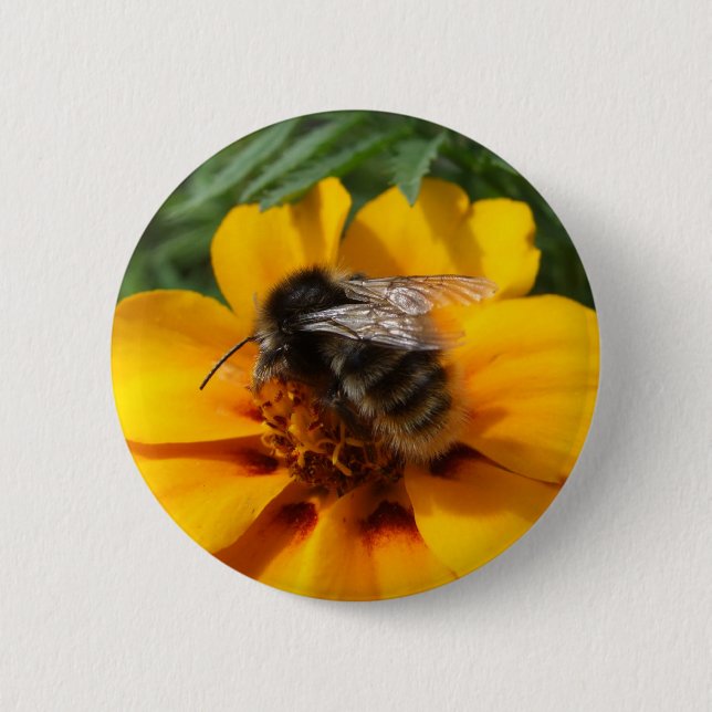 Badge Rond 5 Cm Bouton d'abeille (Devant)