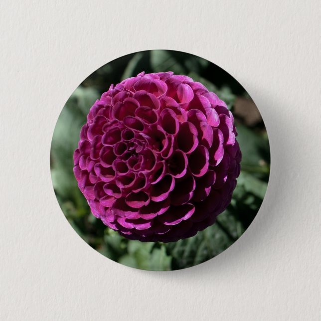 Badge Rond 5 Cm Bouton Dahlia violet (Devant)