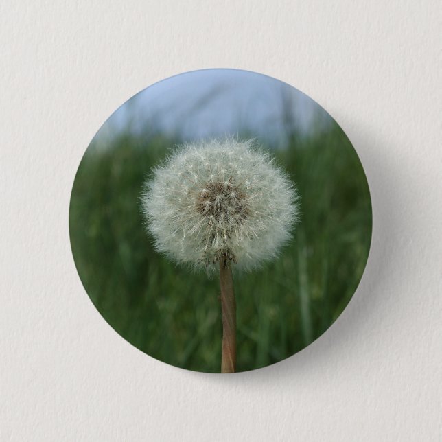 Badge Rond 5 Cm Bouton Dandelion (Devant)