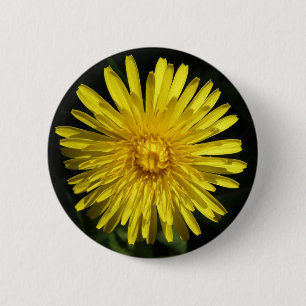 Badge Rond 5 Cm Bouton Dandelion