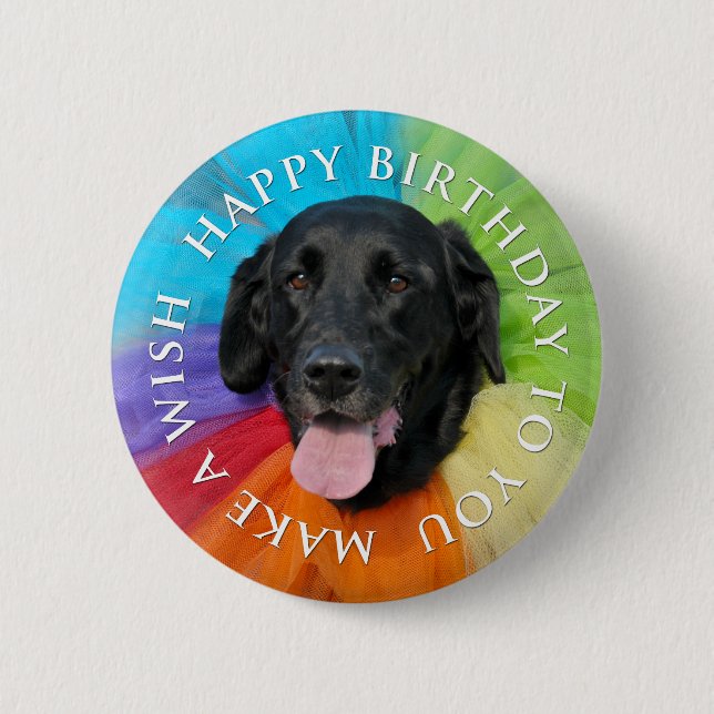 Badge Rond 5 Cm Bouton d'anniversaire du Black Lab (Devant)