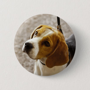 Badge Rond 5 Cm Bouton de beagle