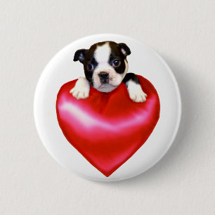 Badge Rond 5 Cm Bouton de Boston Terrier d'amour