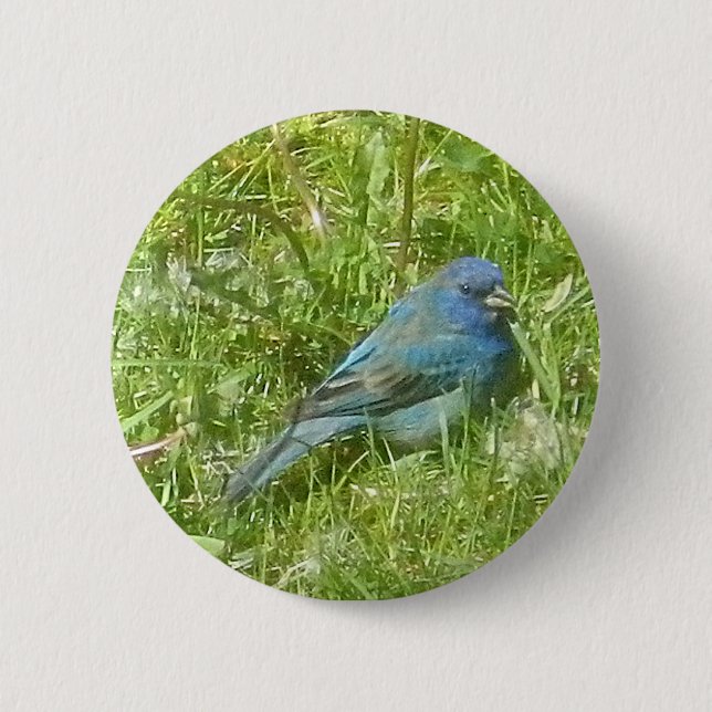 Badge Rond 5 Cm Bouton de Bunting Indigo (Devant)