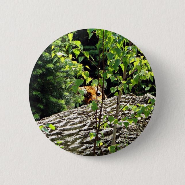 Badge Rond 5 Cm Bouton de cache-cache de tigre (Devant)