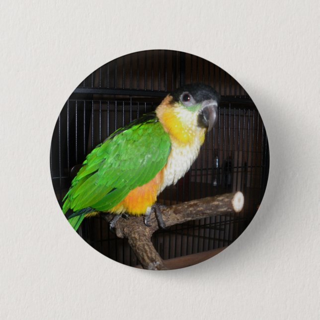 Badge Rond 5 Cm Bouton de caïque (Devant)