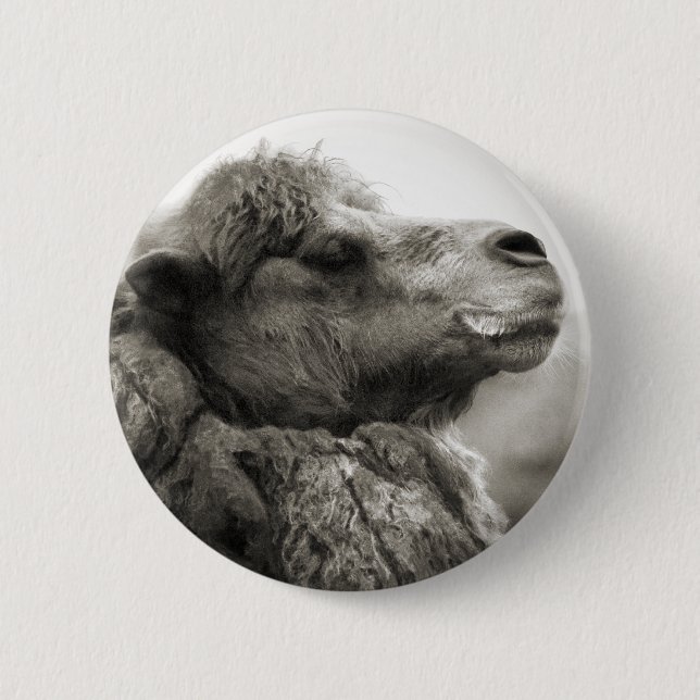 Badge Rond 5 Cm Bouton de chameau (Devant)