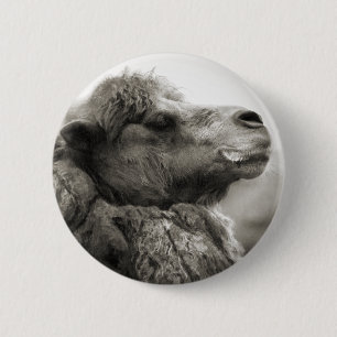 Badge Rond 5 Cm Bouton de chameau