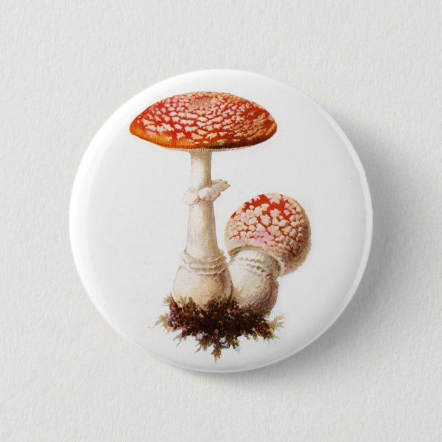 Badge Rond 5 Cm Bouton de champignon d'amanite (Devant)
