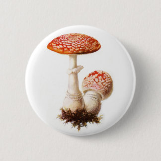 Badge Rond 5 Cm Bouton de champignon d'amanite