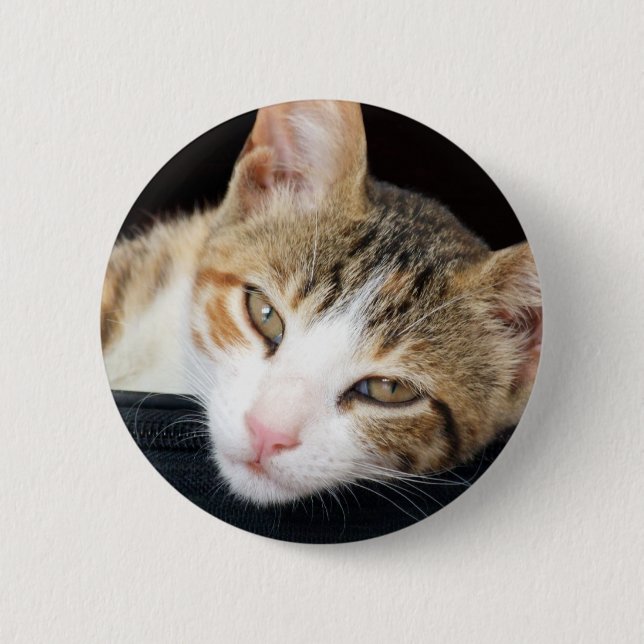 Badge Rond 5 Cm Bouton de chat de Cleo (Devant)