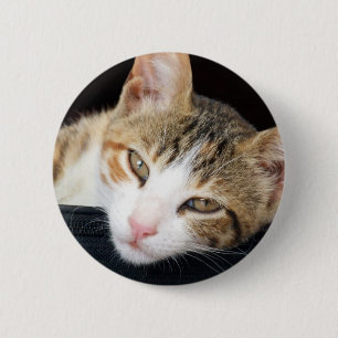 Badge Rond 5 Cm Bouton de chat de Cleo