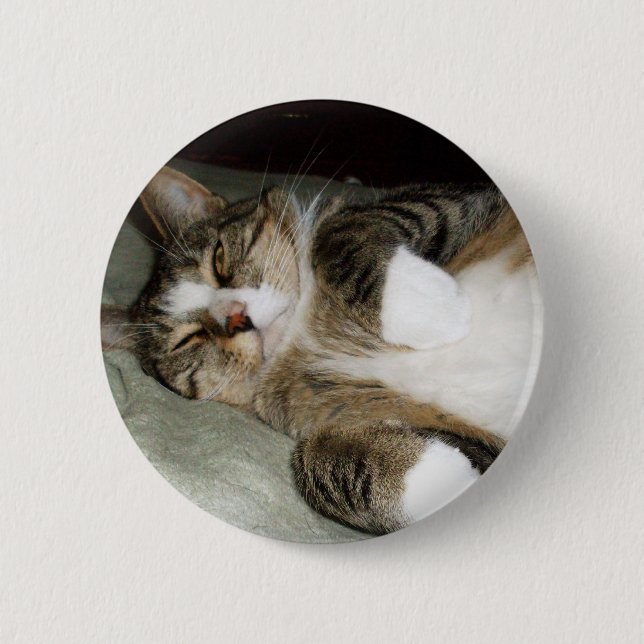Badge Rond 5 Cm Bouton de chat Manx endormi (Devant)