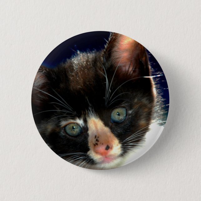 Badge Rond 5 Cm Bouton de chaton de calicot (Devant)