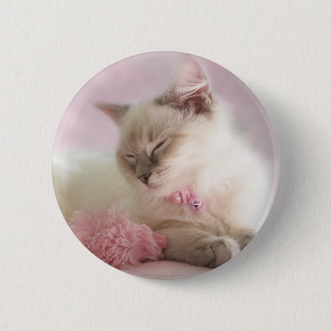 Badge Rond 5 Cm bouton de chaton de ragdoll (Devant)