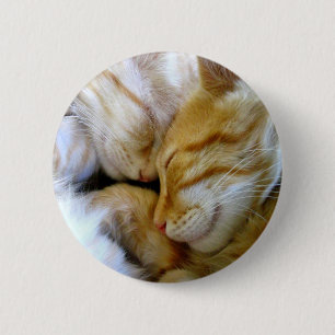 Badge Rond 5 Cm Bouton de chatons de câlin