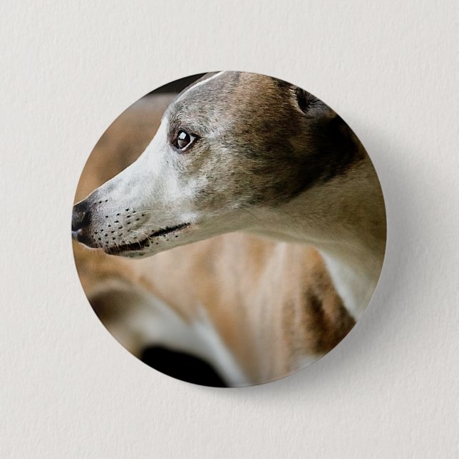 Badge Rond 5 Cm Bouton de chien de lévrier (Devant)