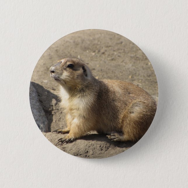 Badge Rond 5 Cm Bouton de chien de prairie (Devant)