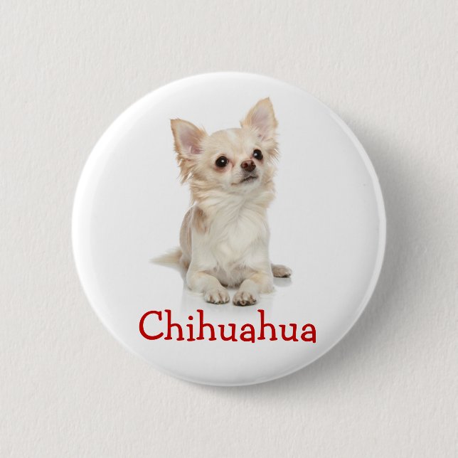 Badge Rond 5 Cm Bouton de Chihuahua, très long, (Devant)