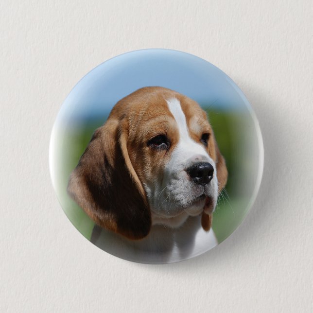 Badge Rond 5 Cm Bouton de chiot de beagle (Devant)