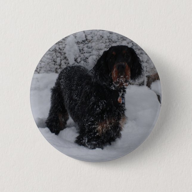 Badge Rond 5 Cm Bouton de chiot Gordon Setter (Devant)