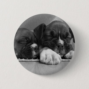 Badge Rond 5 Cm Bouton de chiots de boxeur de sommeil