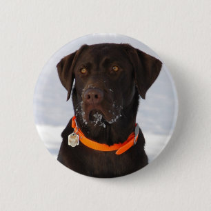 Badge Rond 5 Cm Bouton de chocolat Labrador