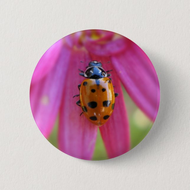 Badge Rond 5 Cm Bouton de coccinelle (Devant)
