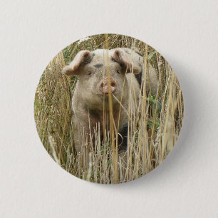 Badge Rond 5 Cm Bouton de cochon mignon