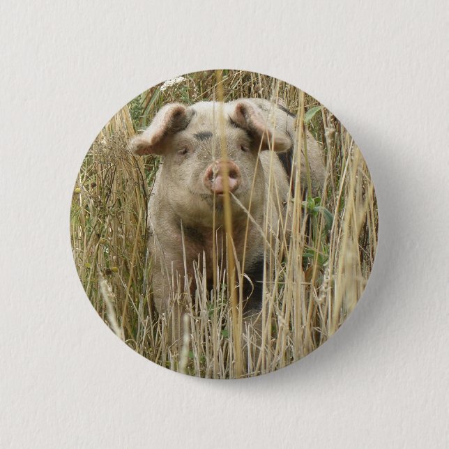 Badge Rond 5 Cm Bouton de cochon mignon (Devant)