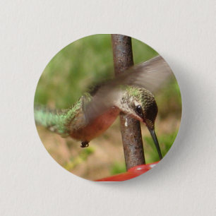 Badge Rond 5 Cm Bouton de colibri