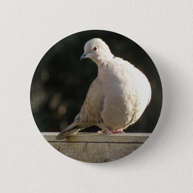 Badge Rond 5 Cm Bouton de colombe (Devant)