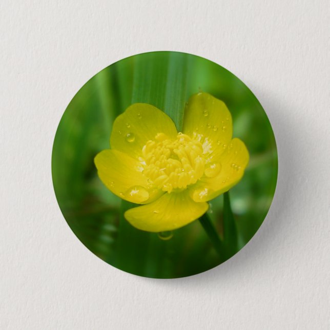 Badge Rond 5 Cm Bouton de coupe-papillon Appalachian (Devant)
