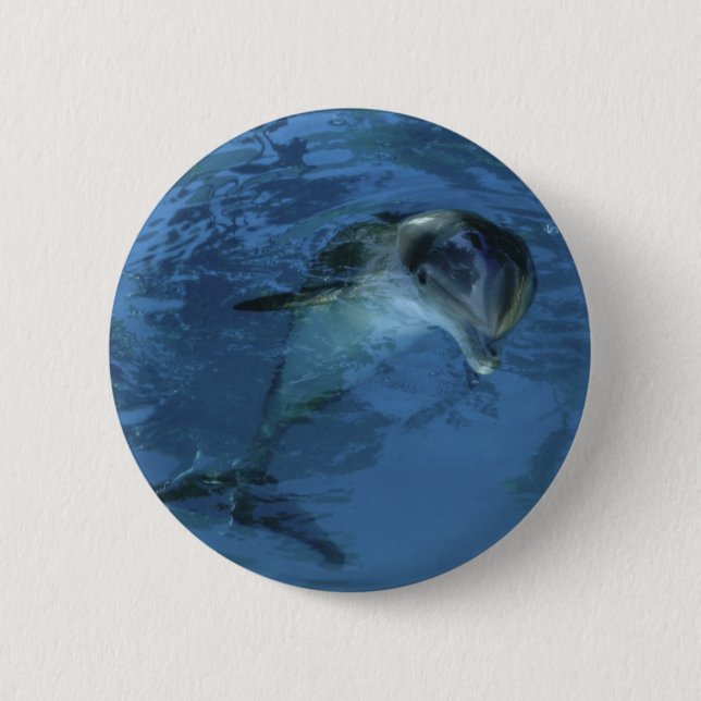 Badge Rond 5 Cm Bouton de dauphin (Devant)