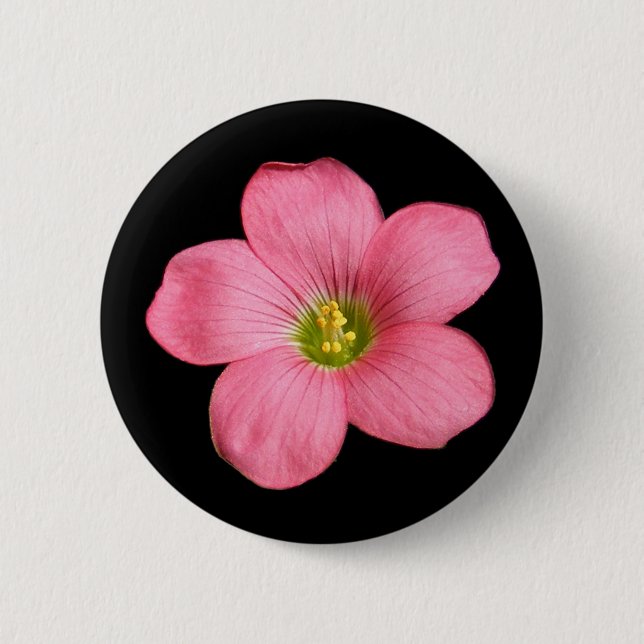 Badge Rond 5 Cm Bouton de ~ de fleur d'Oxalis (Devant)