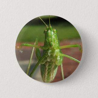 Badge Rond 5 Cm Bouton de ~ de sauterelle